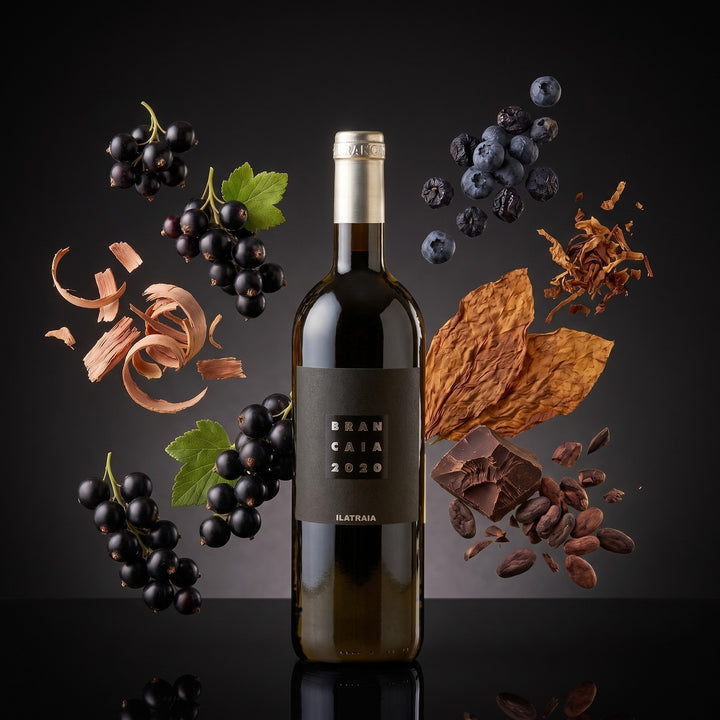 Ilatraia - Brancaia – Aromabild