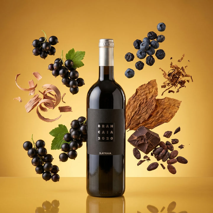 Ilatraia - Brancaia – Aromabild