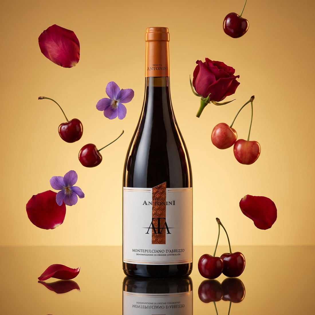 Montepulciano d'Abruzzo - Tenuta Antonini – Aromabild