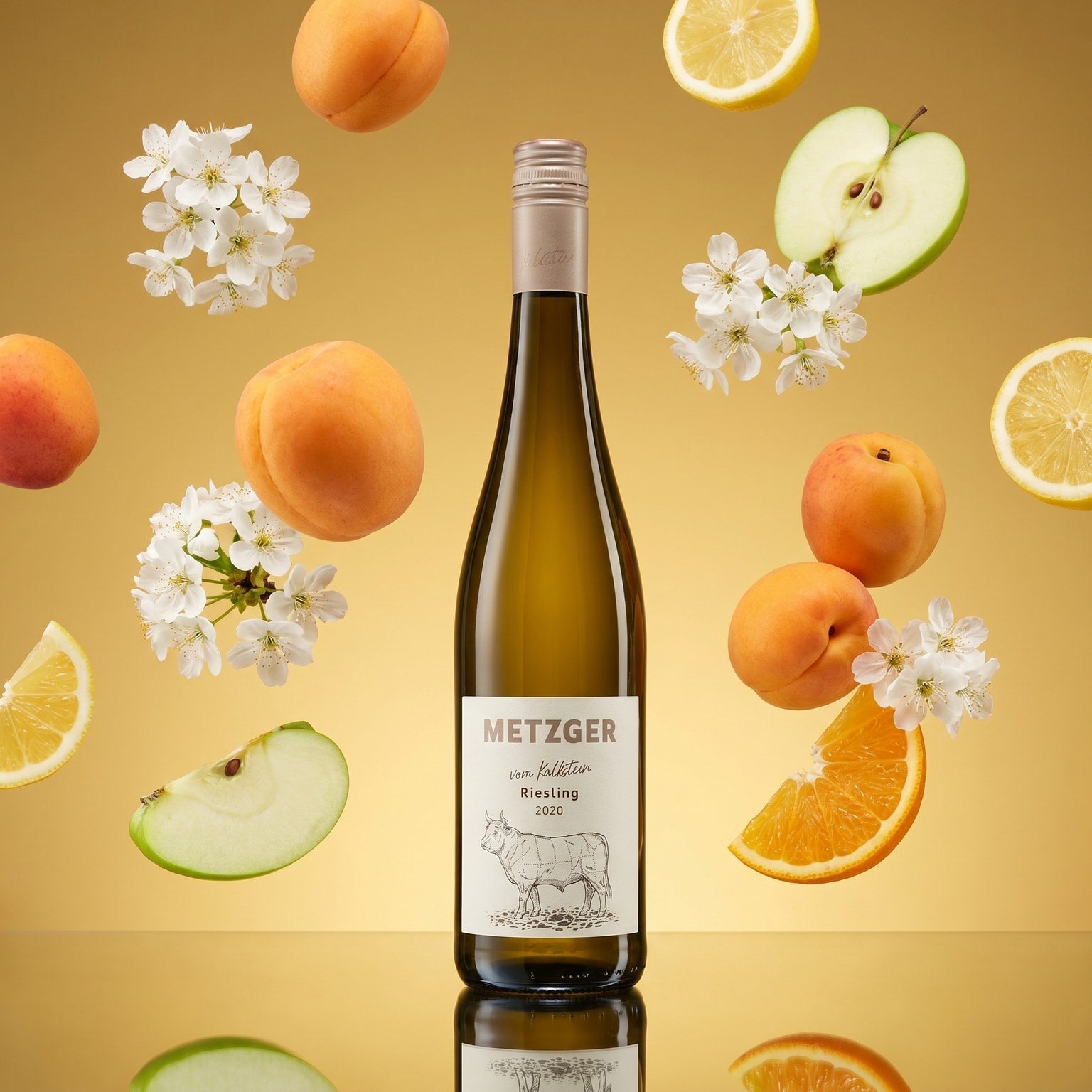 Riesling vom Kalkstein trocken - Metzger – Aromabild