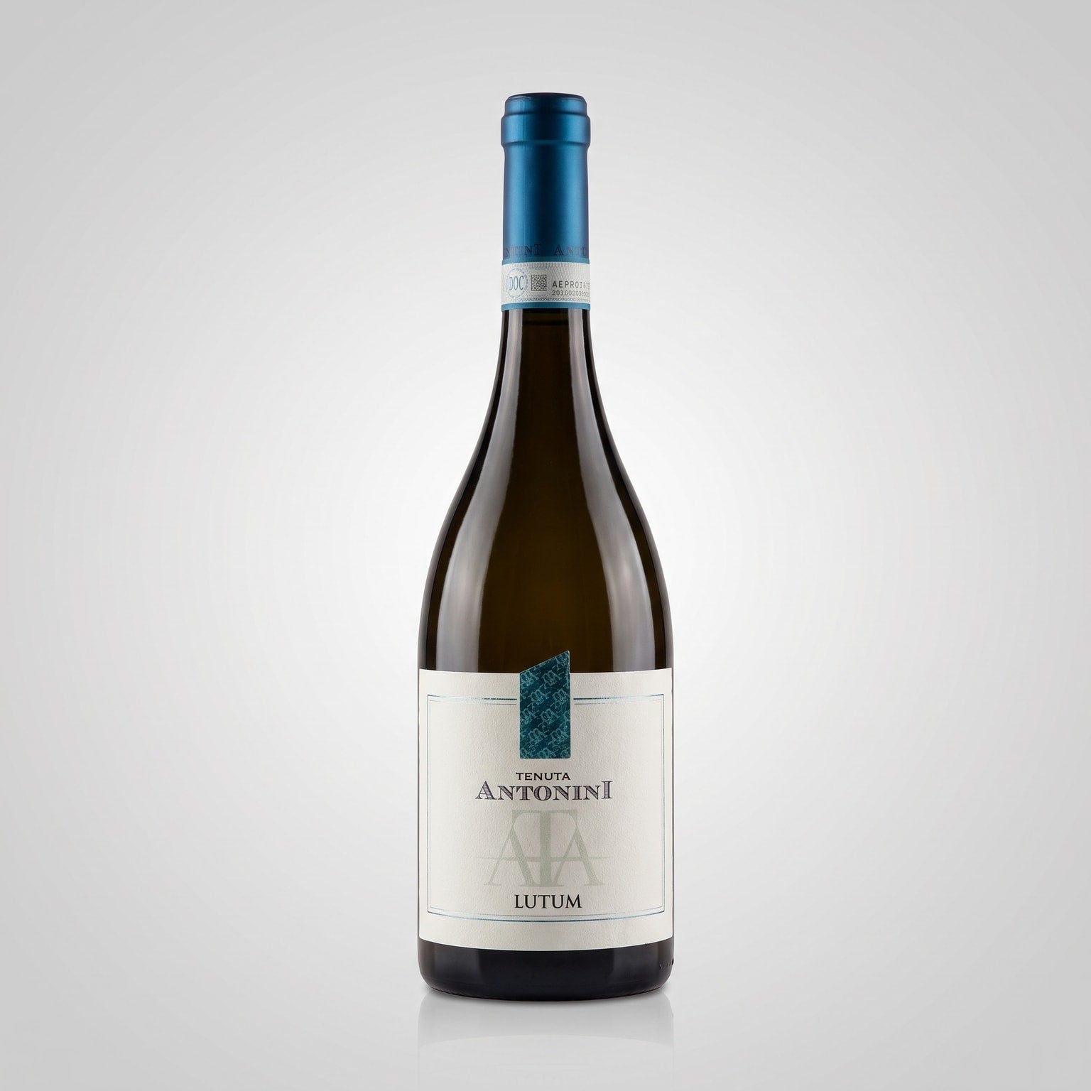 Trebbiano d'Abruzzo DOC - Tenuta Antonini – Vorderseite